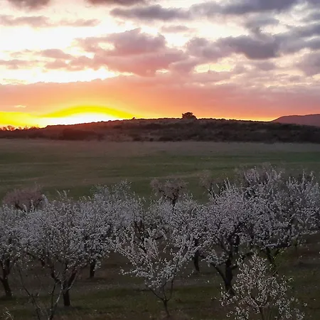 Hotel Rural Flor De Almendro 2*
