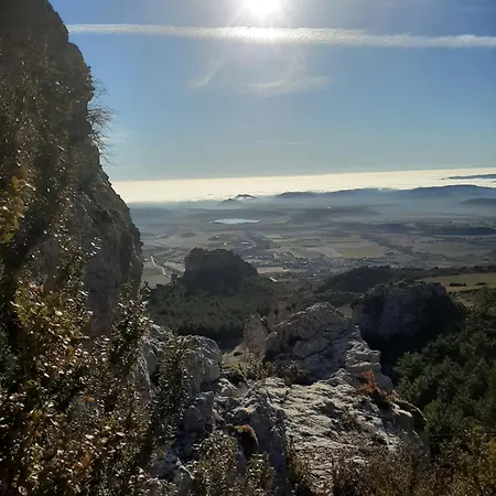 Rural Flor De Almendro