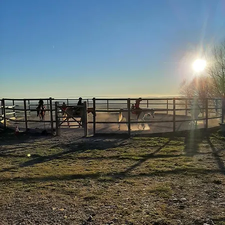 Rural Flor De Almendro Hotel Loarre