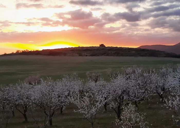 Hotel Rural Flor De Almendro 2*