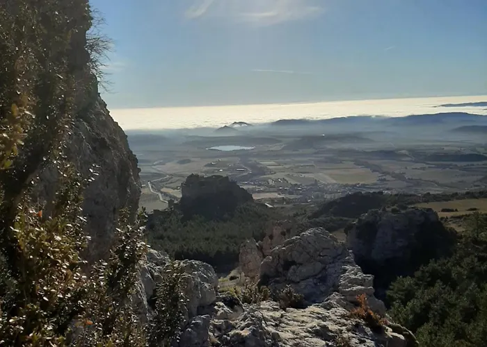 Rural Flor De Almendro