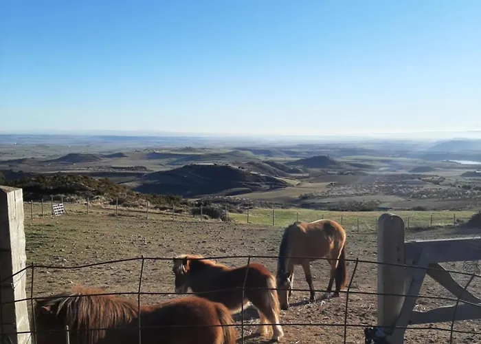 Hotel Rural Flor De Almendro