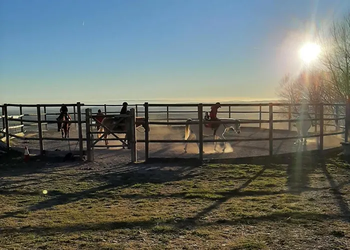 Rural Flor De Almendro Hotel Loarre